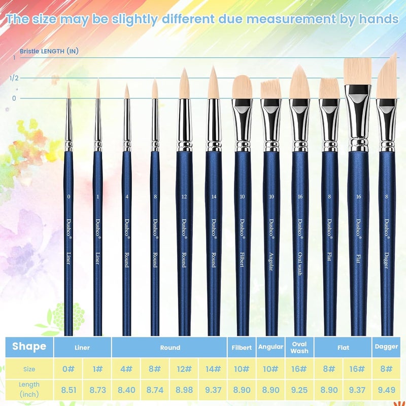 Dushco Artist Paint Brushes Set, 12 Pcs Watercolor Brushes Professional, Water Color Brushes - Round, Flat, Liner, Filbert, Angular, Oval Wash & Dagger for Acrylics, Ink, Watercolor, Gouache, Oil, Tempera - Image 2
